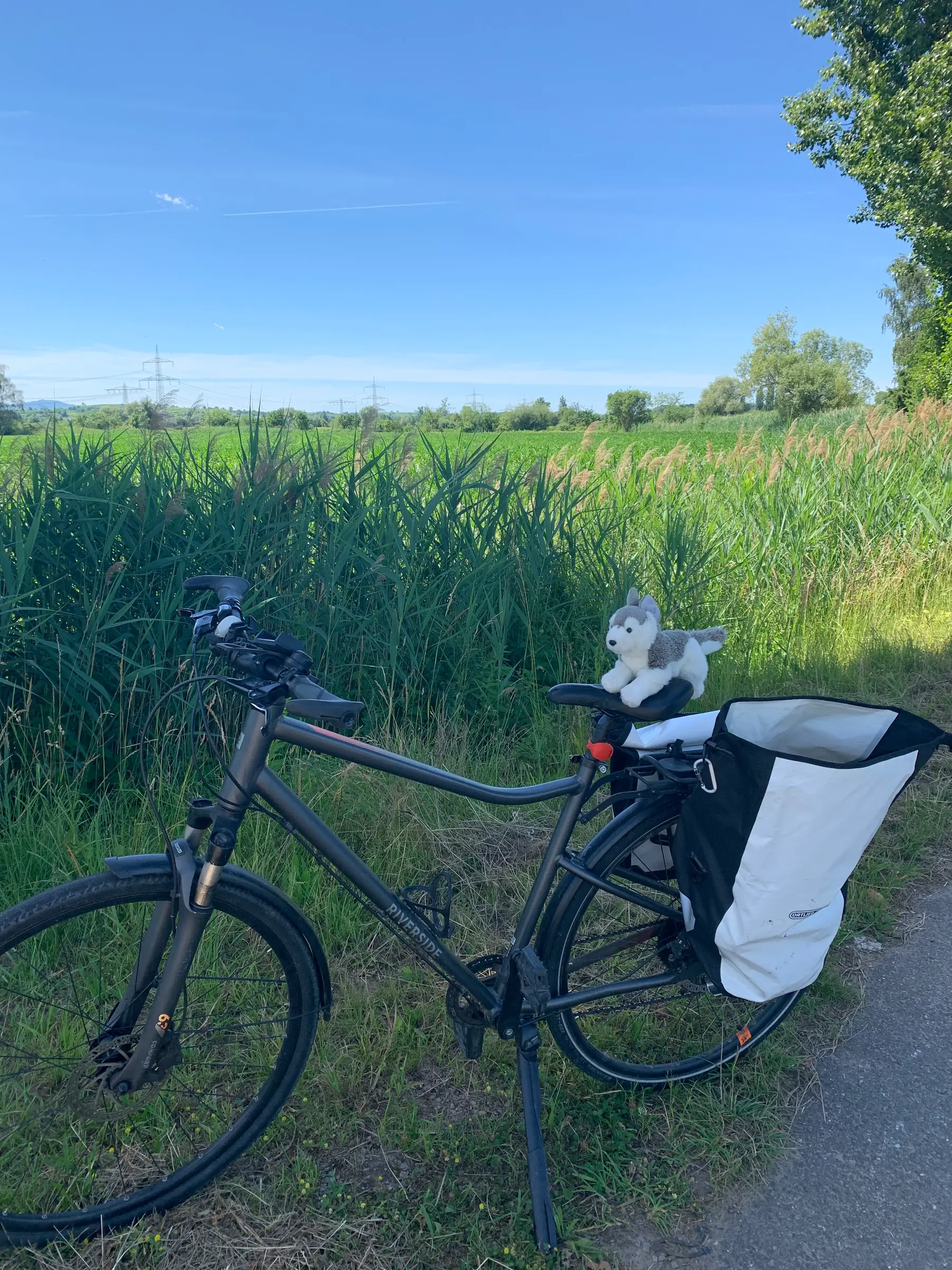 Foto von Toni